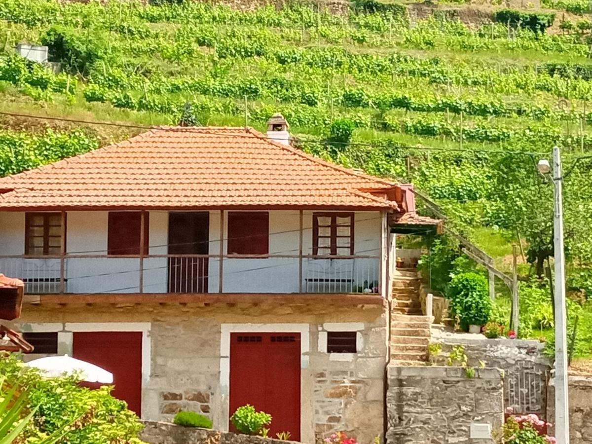 D. Maria Sao Pedro De Balsemao Guest House Lamego Exterior photo